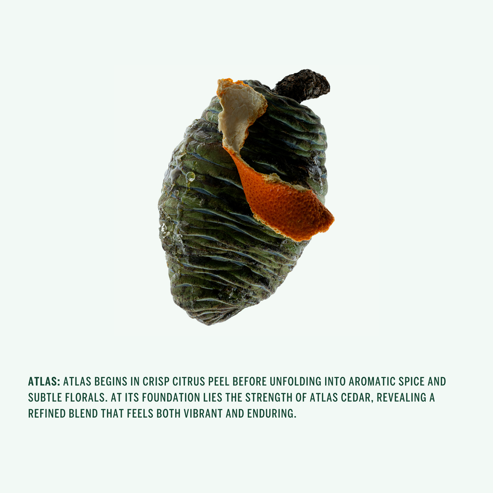 DEODORANT STICK: ATLAS